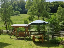 Valea Craiului - accommodation in  Rucar - Bran, Moeciu (11)
