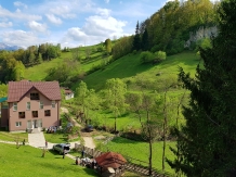 Valea Craiului - cazare Rucar - Bran, Moeciu (12)