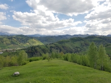 Valea Craiului - alloggio in  Rucar - Bran, Moeciu (15)