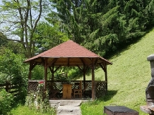 Valea Craiului - cazare Rucar - Bran, Moeciu (21)