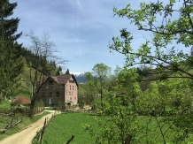 Valea Craiului - alloggio in  Rucar - Bran, Moeciu (23)