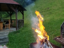 Valea Craiului - cazare Rucar - Bran, Moeciu (27)