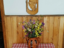 Valea Craiului - cazare Rucar - Bran, Moeciu (28)