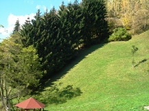 Valea Craiului - accommodation in  Rucar - Bran, Moeciu (38)