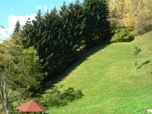 Valea Craiului - cazare Rucar - Bran, Moeciu (38)