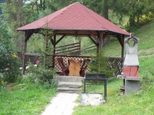 Valea Craiului - alloggio in  Rucar - Bran, Moeciu (39)