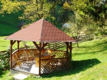 Valea Craiului - accommodation in  Rucar - Bran, Moeciu (40)