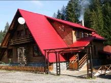 Rural accommodation at  Pensiunea Petrisor