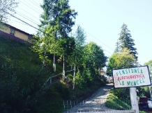 Pensiunea La Muncel - alloggio in  Vatra Dornei, Bucovina (03)