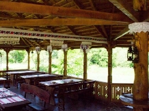 La Pintea Haiducu - accommodation in  Maramures Country (08)