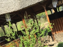 La Pintea Haiducu - accommodation in  Maramures Country (19)