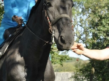 Pensiunea Reba - alloggio in  Harghita Covasna (23)