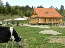 Ferma agroturistica Floare de Maces - alloggio in  Rucar - Bran, Rasnov (01)