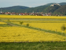 Pensiunea Cetatea Craiului - alloggio in  Rucar - Bran, Rasnov (07)