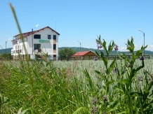 Pensiunea Cetatea Craiului - alloggio in  Rucar - Bran, Rasnov (11)