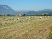 Pensiunea Cetatea Craiului - cazare Rucar - Bran, Rasnov (46)