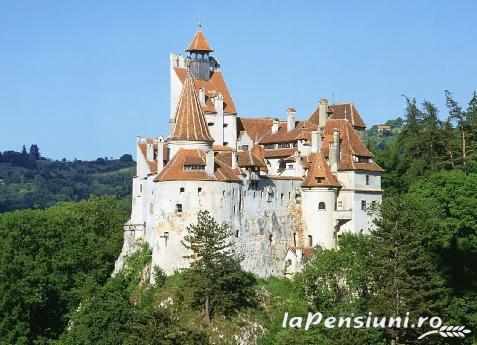 Pensiunea Forest - cazare Rucar - Bran, Moeciu (Activitati si imprejurimi)