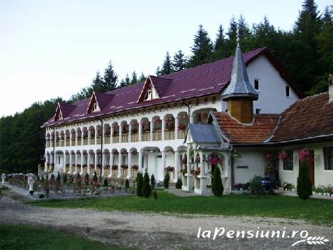 Pensiunea Bambuu - accommodation in  Fagaras and nearby (Surrounding)