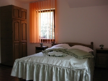 Vila Ianis Bran - accommodation in  Rucar - Bran, Moeciu, Bran (10)