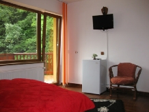 Vila Ianis Bran - accommodation in  Rucar - Bran, Moeciu, Bran (15)