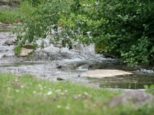 Craiasa Muntilor - alloggio in  Apuseni (23)