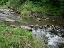 Craiasa Muntilor - alloggio in  Apuseni (24)