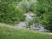 Craiasa Muntilor - alloggio in  Apuseni (25)