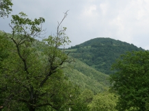 Craiasa Muntilor - alloggio in  Apuseni (26)