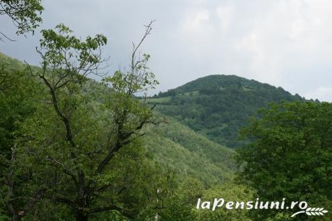 Craiasa Muntilor - alloggio in Apuseni (Attività e i dintorni) Craiasa Muntilor - alloggio in Apuseni (Attività e i dintorni)