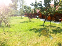 Pensiunea Denisa - accommodation in  North Oltenia (03)