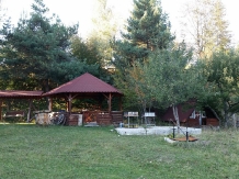 Casa Lavinia - accommodation in  Vatra Dornei, Bucovina (02)