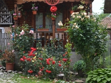 Pensiunea Valu - accommodation in  Oltenia (02)