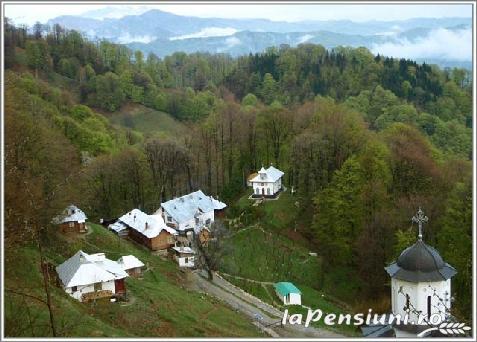 Pensiunea Valu - accommodation in  Oltenia (Surrounding)