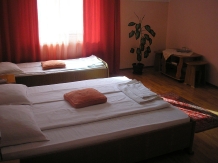 Pensiunea Colina - accommodation in  Transylvania (06)