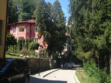 Vila Rosa - alloggio in  Valea Oltului (02)