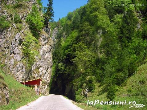 Casa Cerbilor - cazare Rucar - Bran, Piatra Craiului, Tara Muscelului (Activitati si imprejurimi)