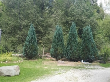 Casa Roua Florilor - alloggio in  Rucar - Bran, Piatra Craiului, Tara Muscelului (14)