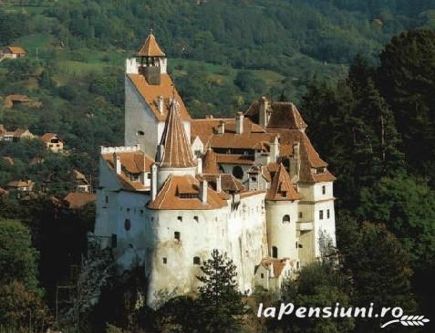 Casa Roua Florilor - accommodation in  Rucar - Bran, Piatra Craiului, Muscelului Country (Surrounding)