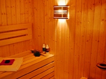 Panorama Business Inn - cazare Transilvania (29)