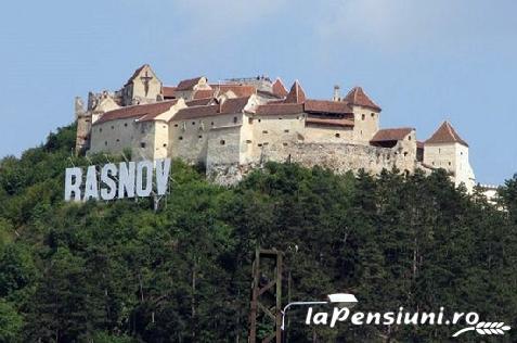 Pensiunea Vila Peisaj - cazare Rucar - Bran, Moeciu, Bran (Activitati si imprejurimi)