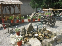 Pensiunea Botimi - accommodation in  Harghita Covasna (02)