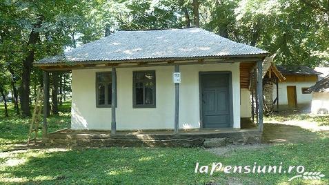 Vila Geo - accommodation in  Moldova (Surrounding)