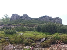 Pensiunea Poarta Calimani - cazare Vatra Dornei, Bucovina (04)