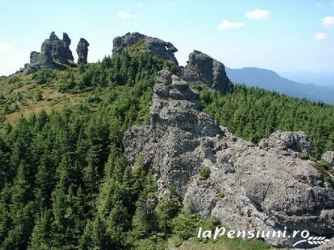Pensiunea Poarta Calimani - cazare Vatra Dornei, Bucovina (Activitati si imprejurimi)