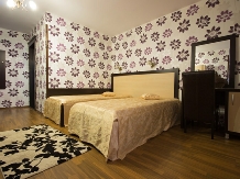 Vila Class - accommodation in  Vatra Dornei, Bucovina (11)