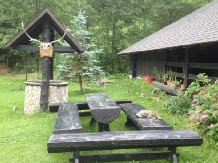 Pensiunea Memory - accommodation in  Bucovina (05)