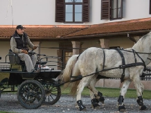 Daniel Castle - accommodation in  Transylvania (08)