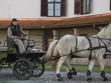 Daniel Castle - alloggio in  Transilvania (08)