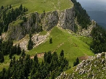 Vila Madalina - alloggio in  Valea Oltului (10)