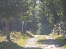 Pensiunea Vis Alpin Belis - alloggio in  Apuseni, Belis (08)